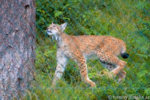 13957363_10153958461834296_1235382378_n