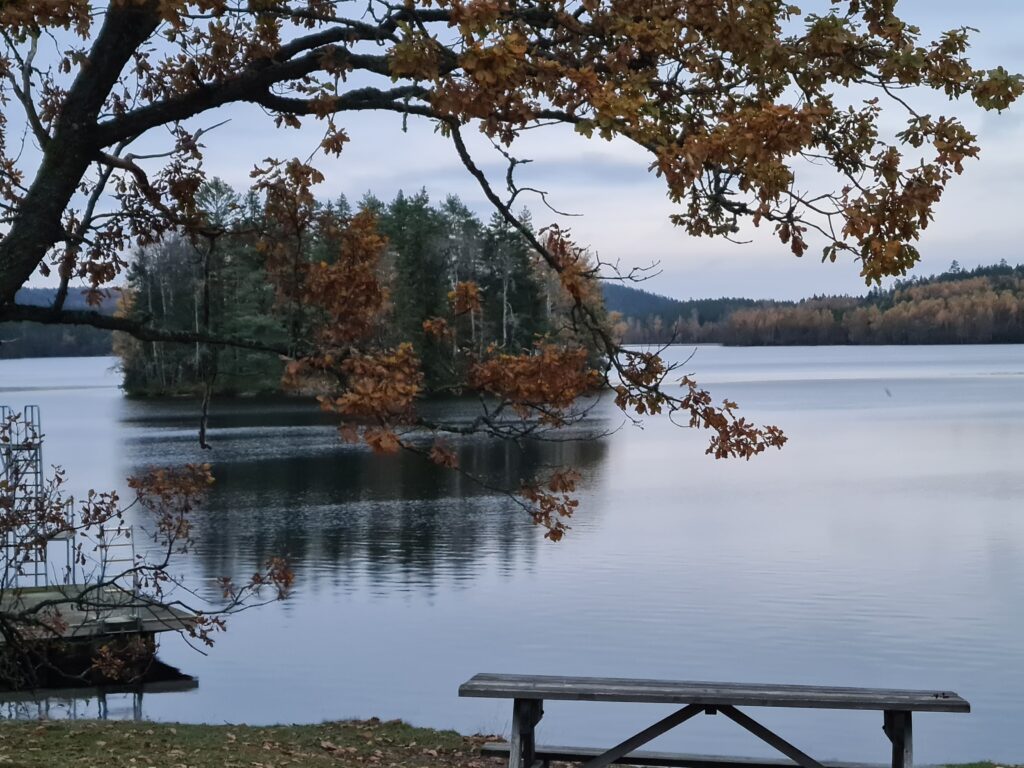  gratitude in everyday life – in the stillness, in the water, in the present moment.