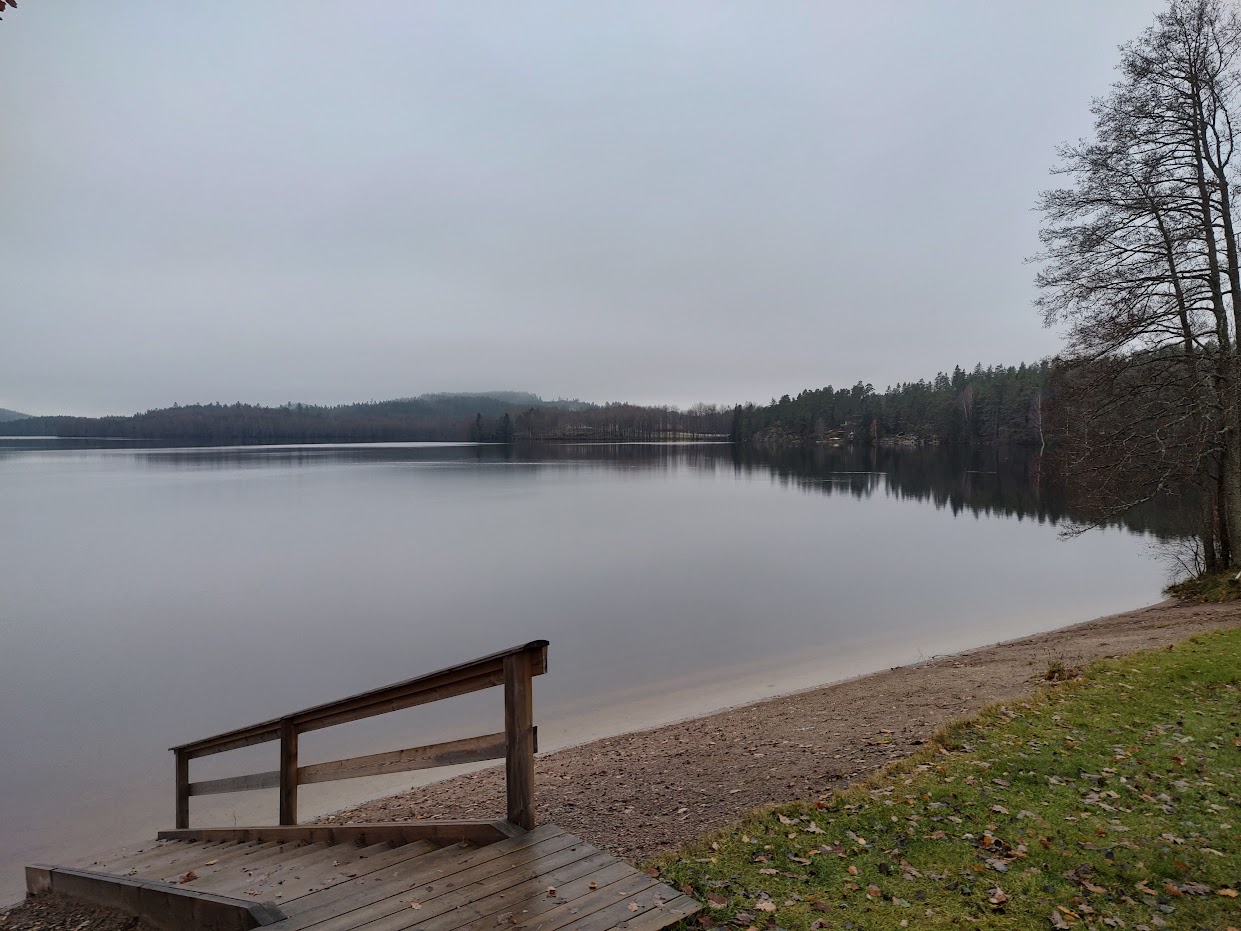 En Blöt och Blåsig Morgon