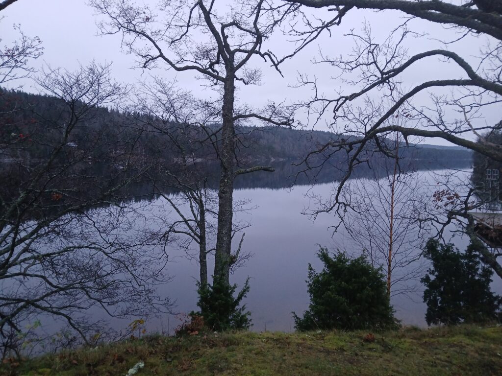 Ny dag nya möjligheter vid sjön