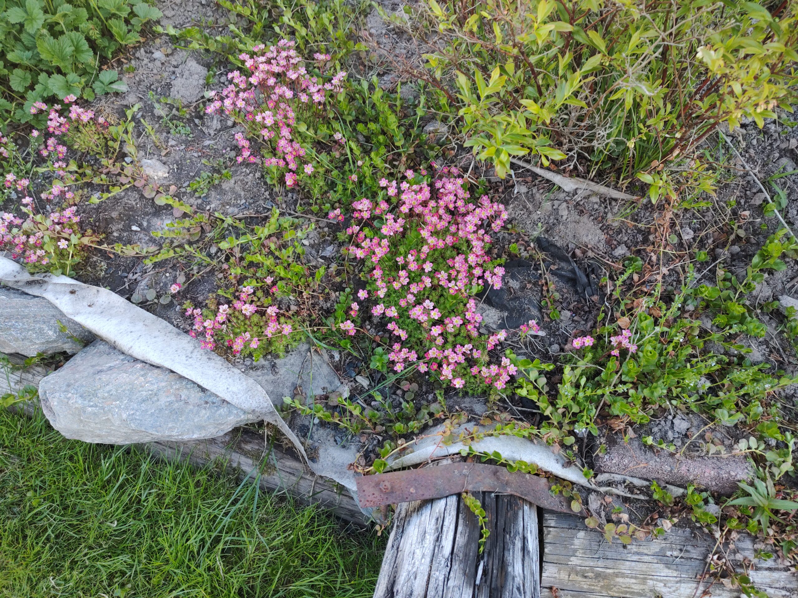 Ett senare inlägg än vanligt