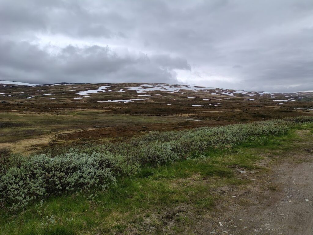 mulet väder över ett fjäll i steikenjokk