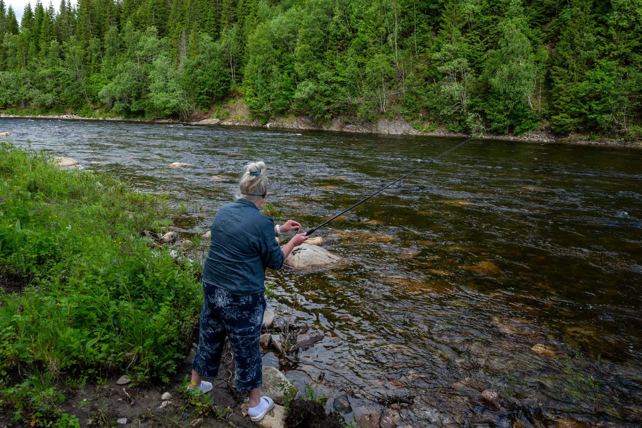 Hemma igen – med blogg, bär och vardag i behåll