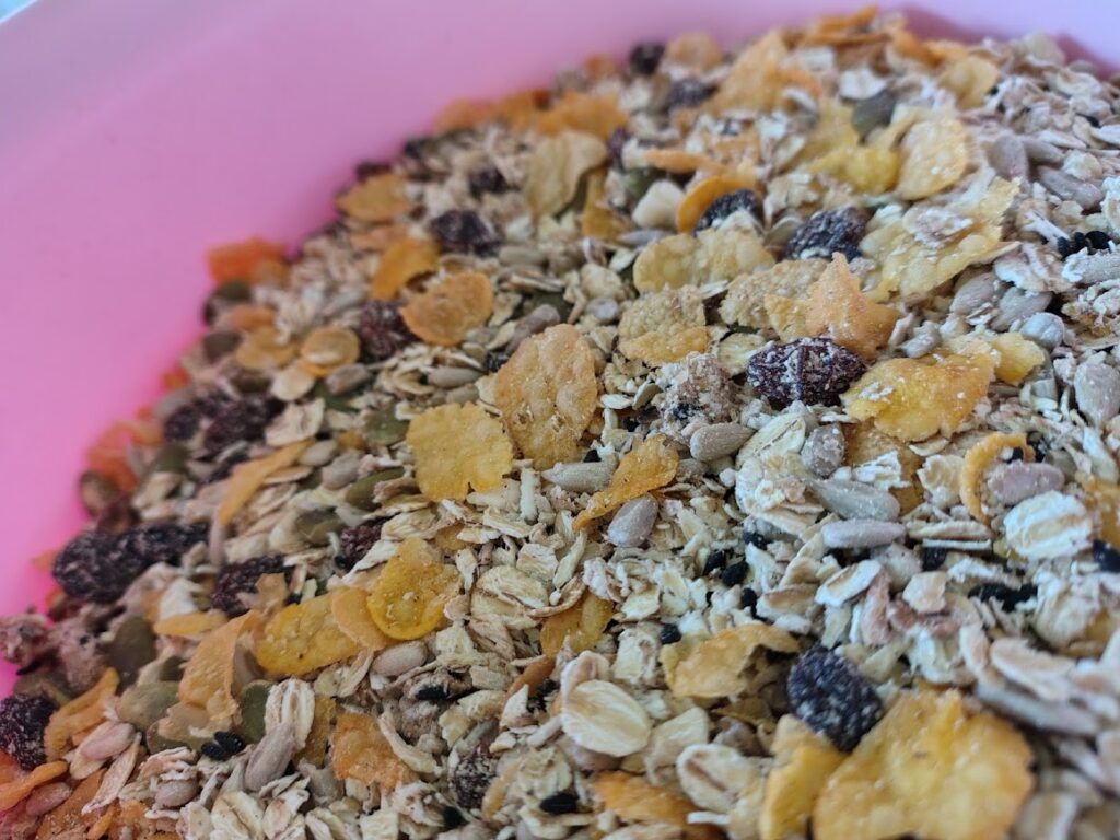 Hemmabakad müsli med havregryn, frön, nötter och russin – glutenfri och utan tillsatt socker.