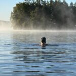 alt="Morning dip and gratitude – a cold lake swim in soft mist on a frosty autumn morning, person in wool hat floating peacefully as first sunlight breaks over the water."