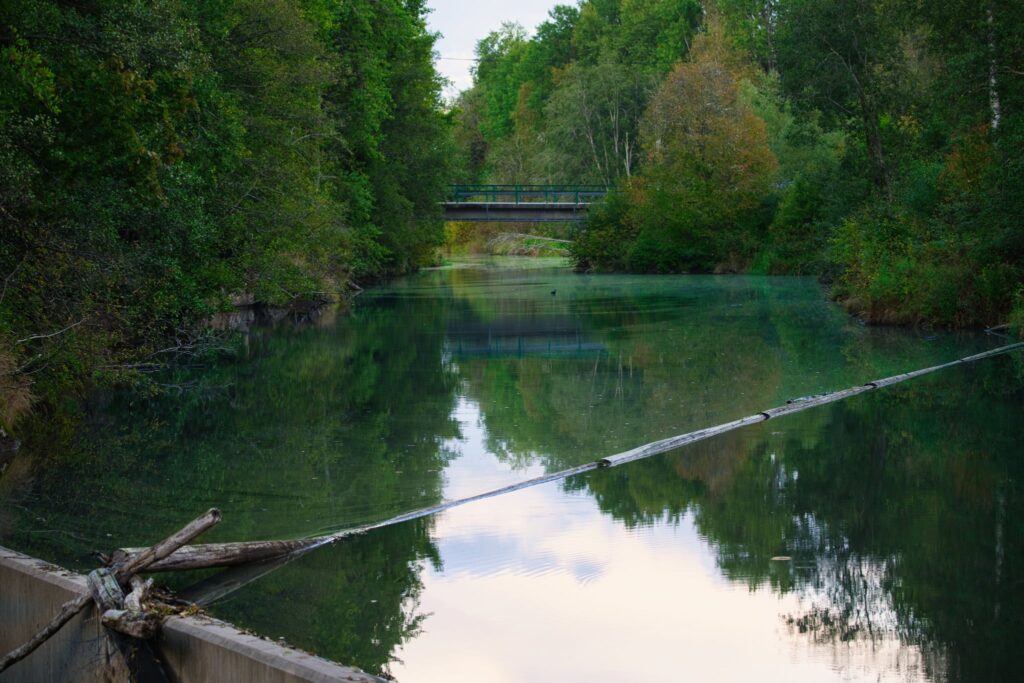 Weekly statistics autumn light morning dips pause – calm reflective river with a small bridge in autumn greenery