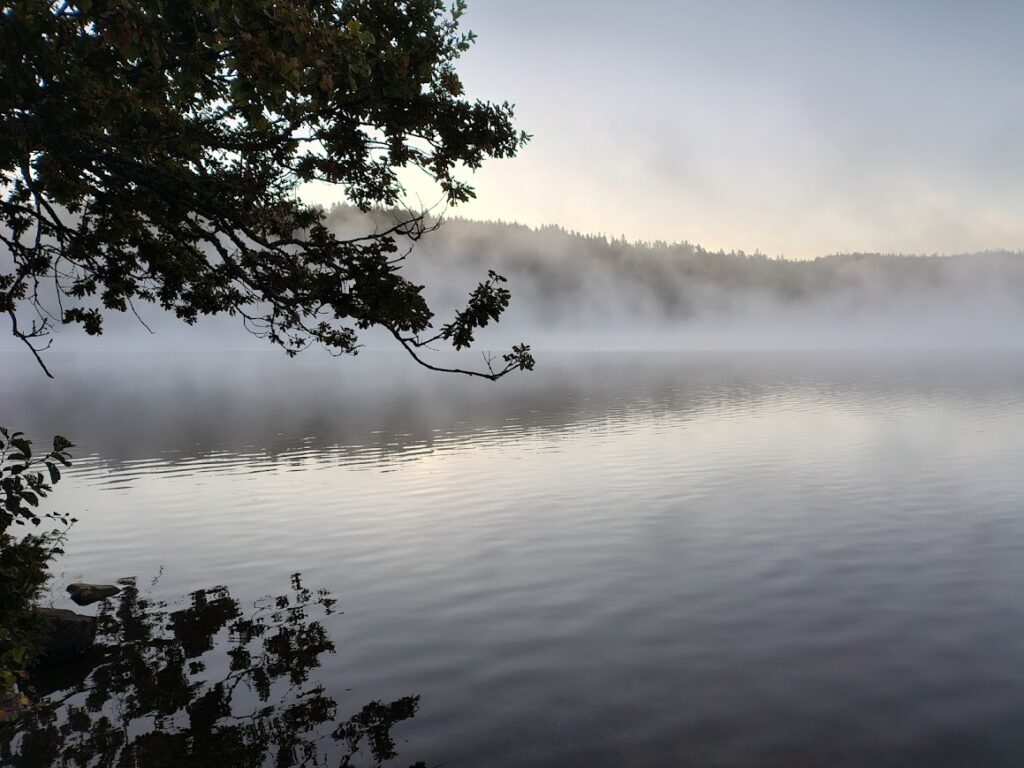 Morgonbad och tacksamhet – spegelblank sjö i gryning med tät dimma och trädgrenar i förgrunden, lugn höstmorgon.