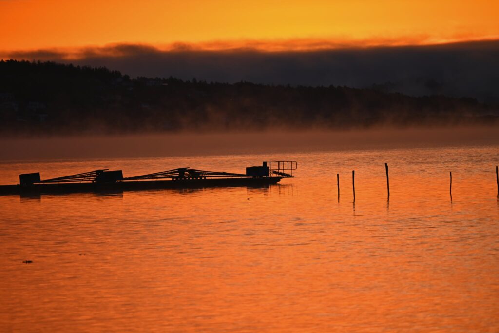 safe circles in life – wild sea and golden sunset light creating calm
