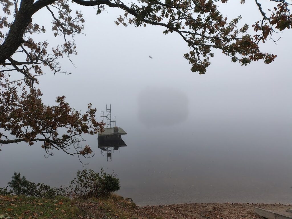 Dimmig morgon vid sjön i Högsäter – stillhet, närvaro och reflektion över etik och moral i vardagen.