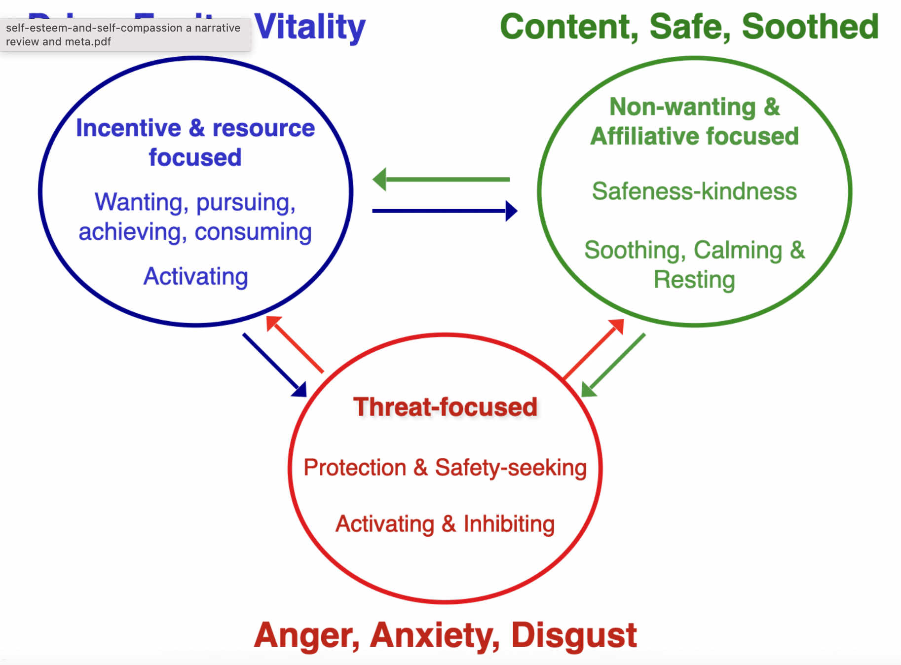 Heaven is here – compassion focused therapy diagram with red, blue and green systems showing threat, drive and soothing.