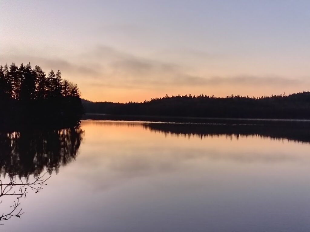 Annandagsmorgon vid stilla sjö när julen är bortstädad – att längta efter våren, kallt vatten och lugn gryning.