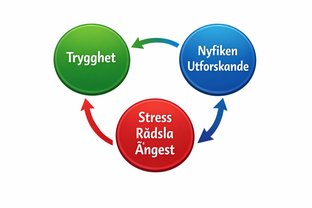 Three circles illustrating safe circles in life – green for safety, blue for curiosity, and red for stress – illustration created with AI.