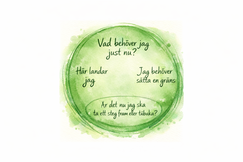 Green circle safety with reflective questions about boundaries, needs and emotional regulation