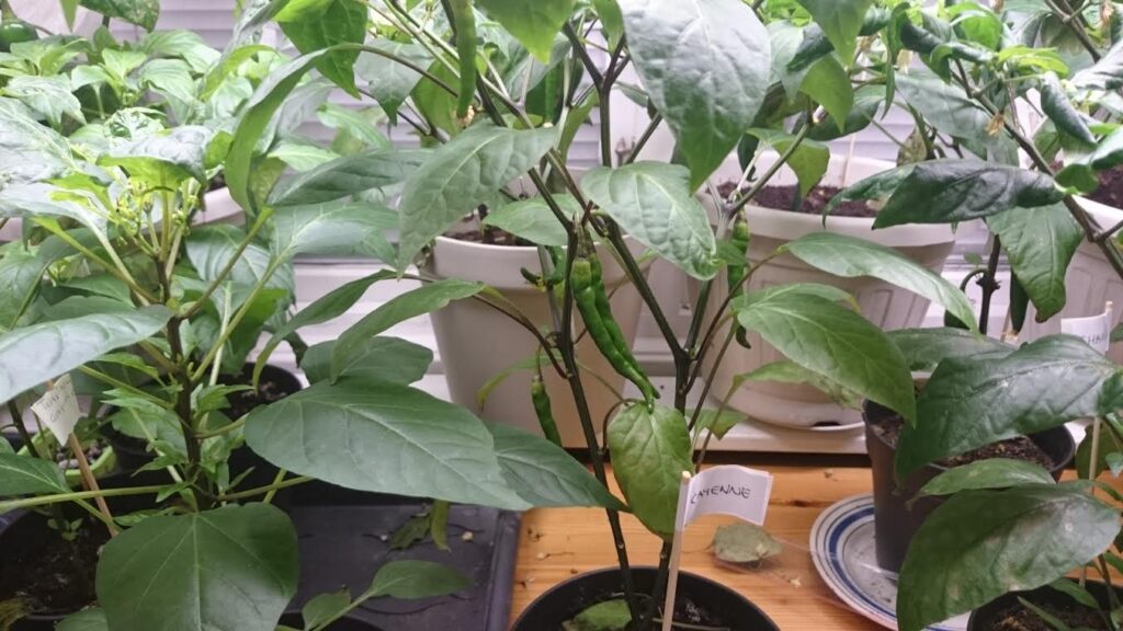 en dag i rörelse vardag på malix.se