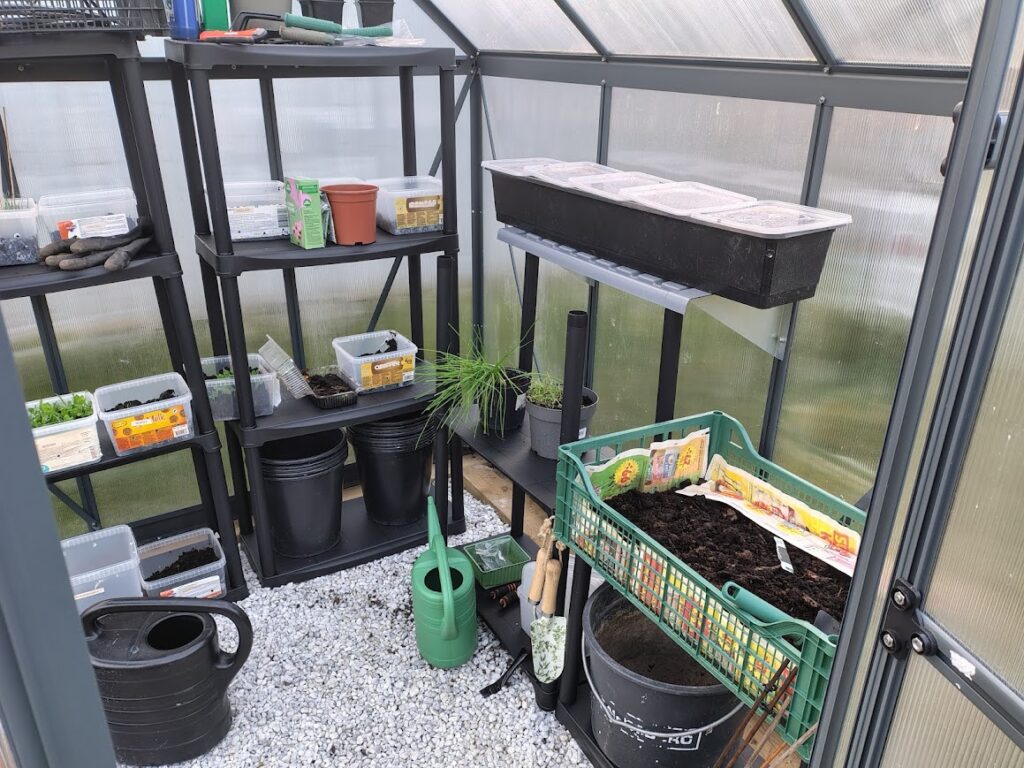 Greenhouse with shelves and plants in garden life in April