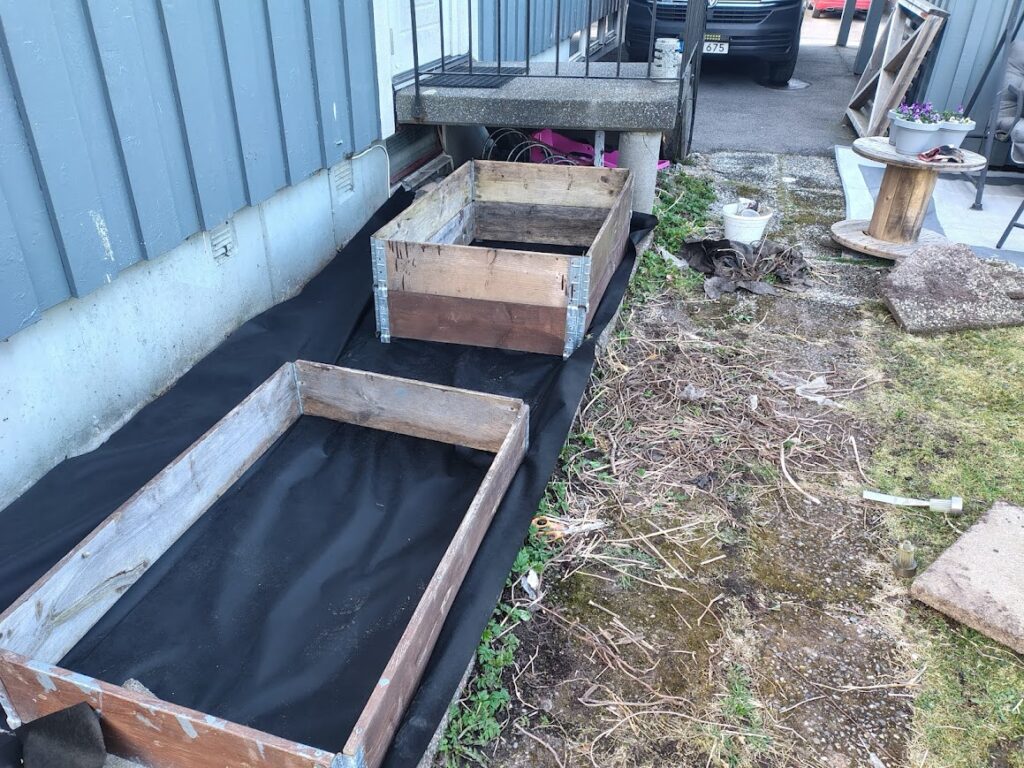 Front yard with raised beds and ground cover in garden life in April