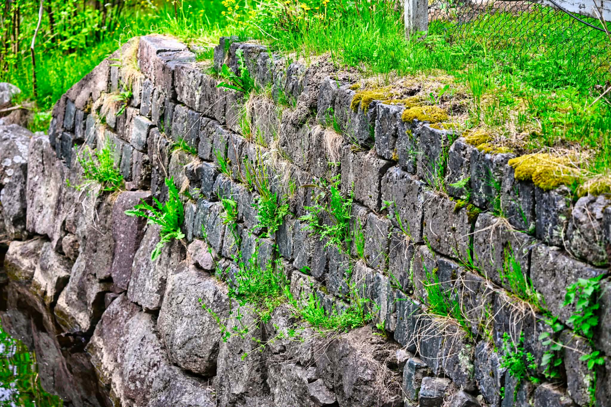 Motorhome weekends and everyday life by an old stone wall surrounded by greenery