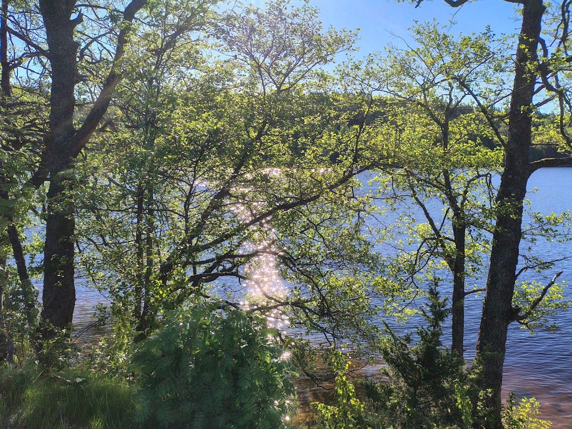 Morning by the lake before our 60th birthday party at home